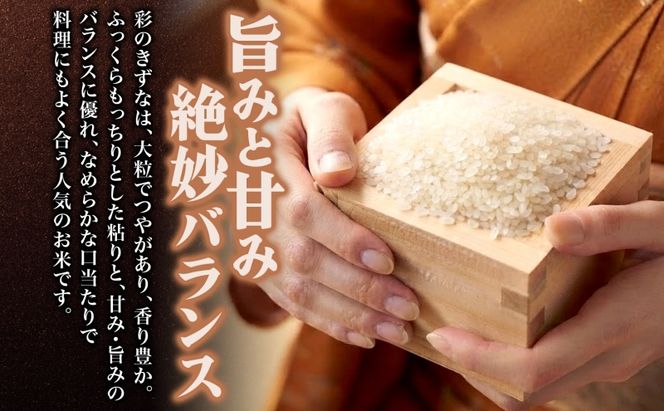 定期便 全3回 天水の恵米 彩のきずな 白米 5kg 3回 計15kg お米 粘り もっちり 国産 白米 ご飯 もちもち 柔らかい お弁当 おにぎり らんざん営農 ギフト 贈り物 嵐山町 埼玉県
