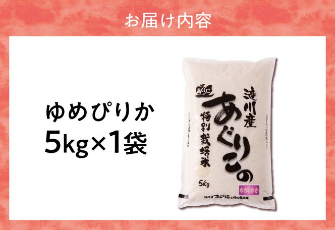 《令和7年産》特別栽培米ゆめぴりか 5kg | 16年連続特A ブランド米 白米 精米 米 お米 こめ 減農薬 単一原料米 ご飯 贈答 ギフト お試し 北海道米 北海道 滝川市