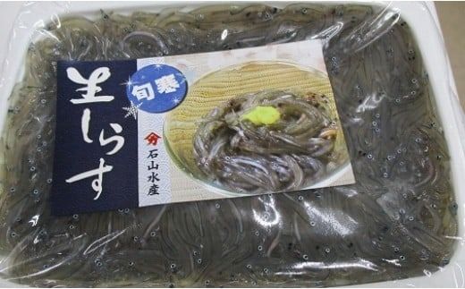 三陸冷凍生しらす(100g×5パック入)