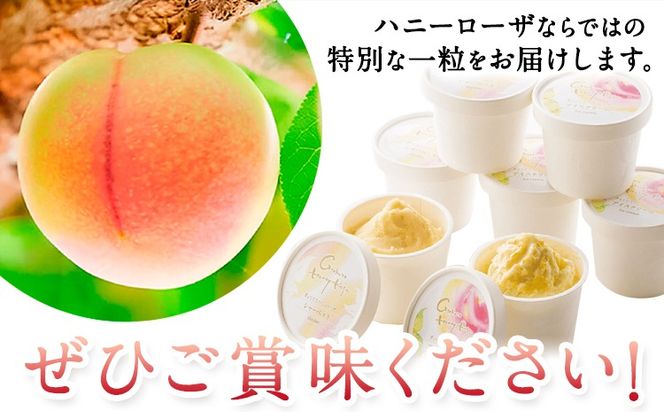 抜群の糖度と爽やかな酸味♪ハニーローザアイスクリーム＆ハニーローザシャーベット 120ml 選べる 6個 8個 12個 熊本県玉名郡玉東町 すもも ハニーローザ アイス ぷらっとぎょくとう《60日以内に出荷予定(土日祝除く)》---gkt_prt_20_6k---