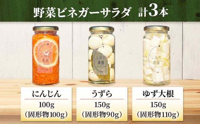 野菜ビネガーサラダ 3本（うずら・ゆず大根・にんじん） ビネガーサラダ 常備菜 おかず 愛西市 / しのだ農園-SHINODA FARM-[AECE010]