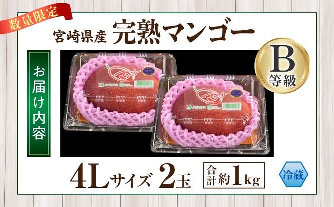 【2027年発送】【数量限定】宮崎県産 完熟マンゴー B等級 4Lサイズ×2玉（合計約1kg）_kn056-014