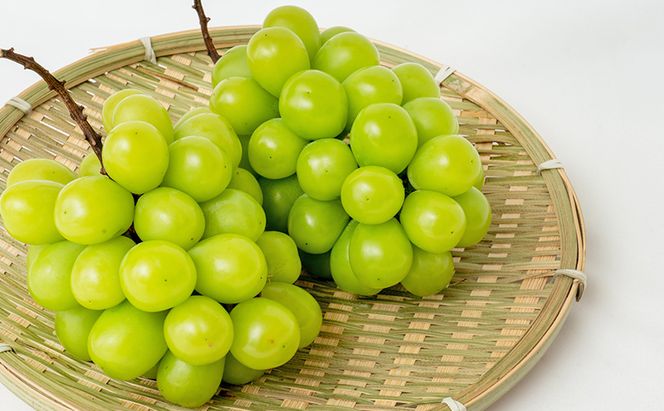 桃 ぶどう 2026年 先行予約 果物詰合せ 白桃 2玉（1玉200g以上） シャイン マスカット 晴王 2房（合計約940g）化粧箱入り 岡山県産 国産 フルーツ ギフト もも 果物類 