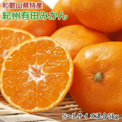 ZD7018_【2026年先行予約】【厳選】和歌山有田みかん 5kg (S～Lサイズ混合・秀品)