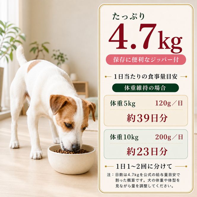 ビューティープロ ドッグ おなかの健康 1歳から 4.7kg ｘ1(ケース単位) ドッグフード
