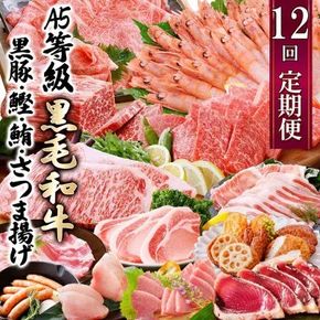 定期便(12回配送)お楽しみ便(A5等級黒毛和牛・黒豚・かつお・まぐろ・さつまあげ等)JJ-6002 【1166755】
