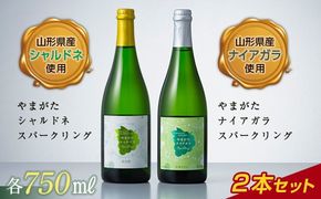 FYN6-468 数量限定 月山トラヤワイナリー スパークリングワイン 2本セット（シャルドネ・ナイアガラ） 山形県 西川町