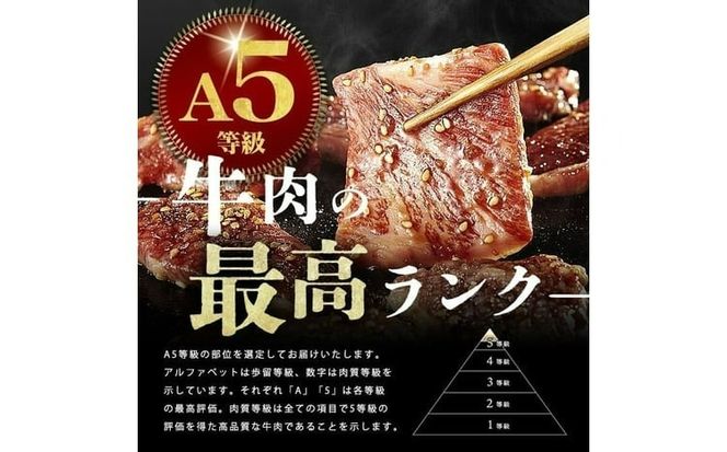 【小分け】＜A5等級＞鹿児島県産 黒毛和牛 牛肉 赤身 焼肉＆しゃぶしゃぶ セット (焼肉200g×1P/スライス200g×2P)＜計600g＞ a4-107