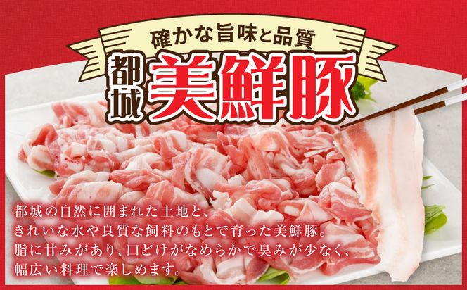 都城美鮮豚バラしゃぶ1kgセット(250g×4パック)_AA-5401_(都城市) 都城美鮮豚 バラしゃぶ 250g×4 ミルフィーユ鍋 しゃぶしゃぶ 炒め物 丼もの