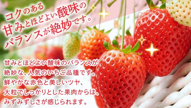 ＼選べる 内容量・発送方法／とちおとめ 約250g（15～18粒）2パック または 4パック 単品・定期便 3か月【2026年12月から発送開始】（茨城県共通返礼品 [いちご]：城里町産） 茨城県 県産 人気 厳選 果物 くだもの 旬 旬の果物 旬のフルーツ ギフト 贈答 いちご イチゴ 苺 とちおとめ