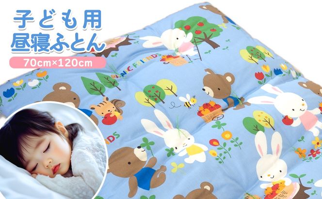 y錧SzK2588 Â肨Q~ӂƂ qǂp Q ~zc zc Rbg ȂӂƂ