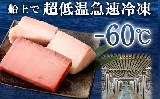 船元が直送! 厳選 天然 マグロ 2種 650g以上 | メバチ鮪250g ビンチョウ鮪400g 目鉢 鬢長 セット まぐろ 食べ比べ めばちまぐろ びんちょうまぐろ 刺身 さしみ 刺し身 冷凍 漬け 海鮮 丼 父の日 高知県 室戸市 ge001