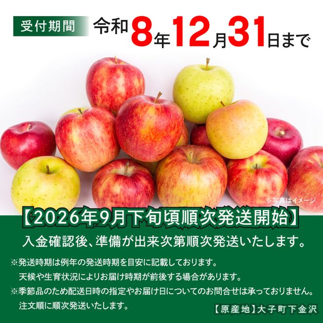 【先行予約】樹上完熟の奥久慈りんご詰め合わせ　園主おまかせ約3kg（6～14玉）【2026年9月下旬頃順次発送開始予定】斉藤りんご園第2直売所｜茨城県 大子町 林檎 果物 フルーツ 旬（CG001）