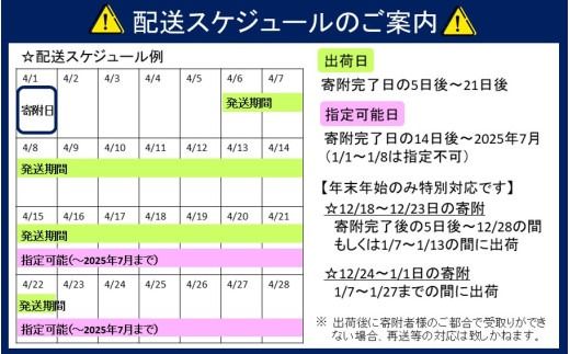 生食用殻付き牡蠣「Ostra Kunisaki」25～30個（殻付き重量40～100g/個）_2113R