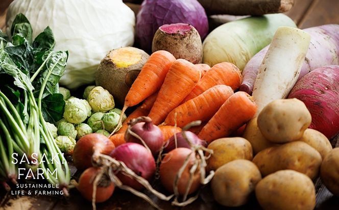 旬の野菜詰め合わせ ～ありがとうBOX2026・小～ 12月1日～1月31日頃お届け 先行予約 北海道 野菜 やさい 詰め合わせ セット 北海道産 常備菜 加工品 自然栽培 佐々木ファーム 産地直送 洞爺湖町