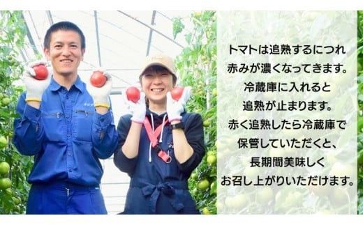 てるて姫 大箱 約2.6kg × 2箱 【20～35玉/1箱】 2026年産 野菜ソムリエサミット 金賞 糖度9度 以上 野菜 フルーツトマト フルーツ トマト とまと [AF110ci]