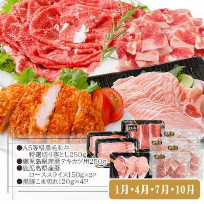 総重量3Kg越え、鹿児島県産黒毛和牛と黒豚のお料理定期便(3回配送)　EE0-0002 【1504377】