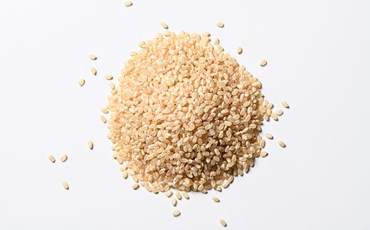 【3か月定期便】令和8年産 コシヒカリ 玄米 5kg ×3回 横山ファーム 米 富山県立山町産 こしひかり 富山県 立山町 F6T-1111