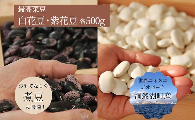 北海道 洞爺湖町産 高級菜豆 2種 白花豆 500g 紫花豆 500g 計1kg 12月中旬よりお届け 花豆 豆 マメ まめ 大粒 甘い 北海道産 国産 煮豆 スープ 煮込み料理 常温 お取り寄せ 送料無料 【 洞爺湖町 】