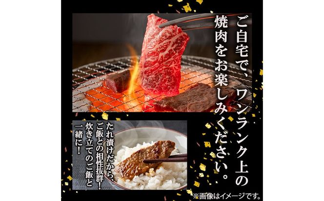 【数量限定】鹿児島県産黒毛和牛 うしの中山 タレ漬け焼肉用 500g a8-085
