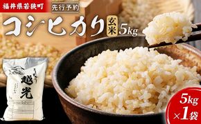 【2月お届け】令和8年産 若狭町コシヒカリ玄米5kg 米 お米 こしひかり 福井県
