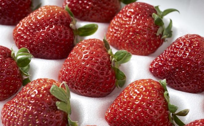 いちご あまおう 贈答用 12～15粒 福岡のいちご 苺 本来の酸味と甘み！ 配送不可 離島 果物類 イチゴ 