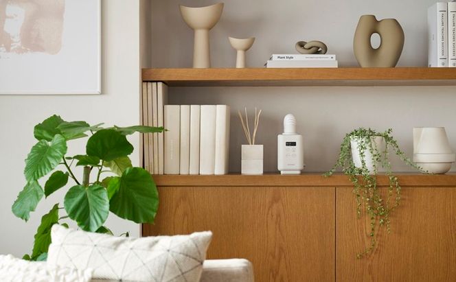 布団乾燥機 ふとん乾燥機 カラリエmini TURBO JSK-S10-W ホワイト アイリスオーヤマ カラリエ 小型 軽量 衣類乾燥機 タイマー付 布団 乾燥 乾燥機 湿気 ダニ対策 トコジラミ 湿気 布団あたため 靴乾燥 シューズドライヤー コンパクト