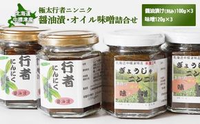 行者ニンニク 醤油漬 オイル味噌 各3個 セット オンライン 申請 ふるさと納税 北海道 中標津 行者にんにく しょうゆ漬 味噌 幻の山菜 山菜 山の幸 野菜 万能 調味料 瓶詰 疲労回復 健康効果 長寿 体力増強 ご飯のお供 お酒のあて 中標津町【2000301】