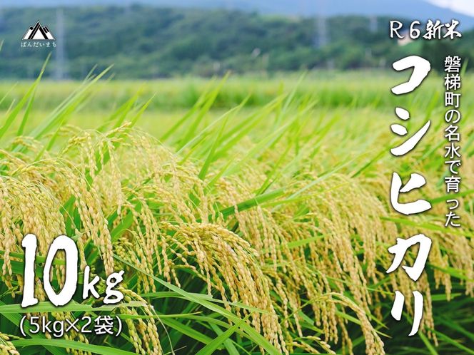 【予約受付】【令和6年産米】コシヒカリ10kg　磐梯町の名水で育ったコシヒカリ