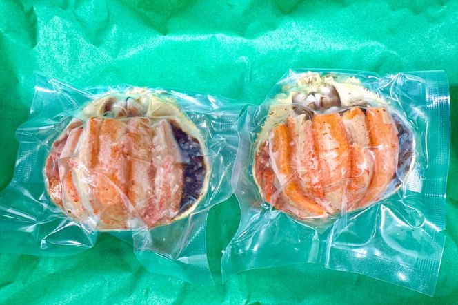 セイコガニ甲羅盛Lサイズ 2個セット 蟹 ふるさと納税 カニ ふるさと納税 かに ふるさと納税 海鮮 ふるさと納税 松葉ガニ ふるさと納税 セコガニ　SK00225