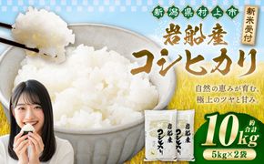【新米受付・令和8年産米】新潟県村上市岩船産コシヒカリ10kg（5kg×2袋）　1102002N