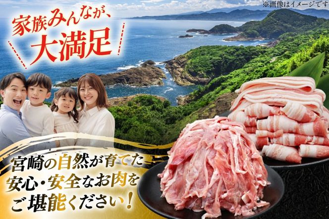 豚肉 小分け 宮崎県産 豚バラ スライス ＆ 切り落とし 計1.6kg [YAMATO 宮崎県 日向市 452061449] セット 真空パック 冷凍 バラ肉