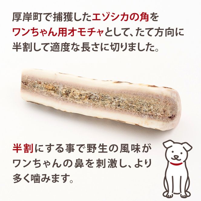 厚岸町産 わんちゃん用 エゾ鹿の角 半割1本 10cm 小型犬用 【deer food】[犬 おもちゃ 犬用ガム ペット用品 鹿角 長持ち デンタルケア ペット ]