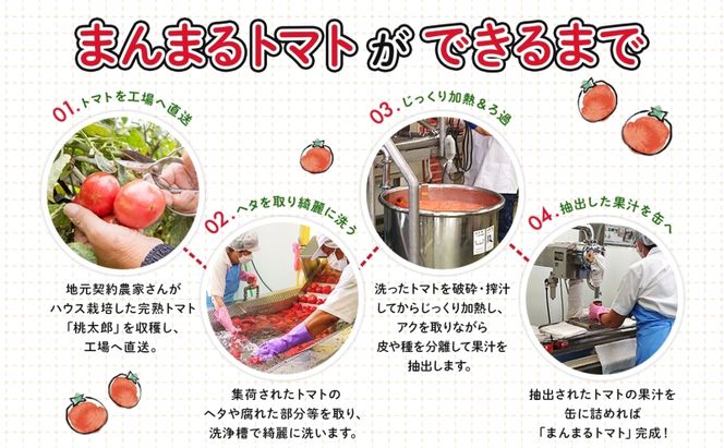 定期便 隔月3回 北海道 トマトジュース 月形まんまるトマト 190g×60本 桃太郎 トマト 食塩不使用 食塩無添加 とまと 缶 無塩 ジュース ストレート 野菜ジュース 健康 完熟 ご褒美 プレゼント 送料無料