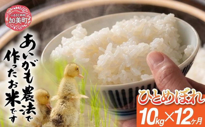 【定期便12回】令和8年産 特別栽培米 あいがも農法でつくったひとめぼれ 10kg（5kg×2袋）×12回 | [カメイ 宮城県 加美町] お米 こめ コメ 精米 白米 特別栽培米 あいがも農法 | km-ag-hb10-t12-r8