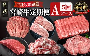 宮崎牛定期便(5回お届け) Aコース_N25-001-T5 宮崎牛 食べ比べ  バラ ウデ モモ カルビ サーロイン 肩ロース 切り落とし ブロック ステーキ スライス 5回 すき焼き 牛丼 炒め物 焼肉