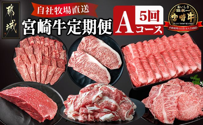 宮崎牛定期便(5回お届け) Aコース_N25-001-T5 宮崎牛 食べ比べ  バラ ウデ モモ カルビ サーロイン 肩ロース 切り落とし ブロック ステーキ スライス 5回 すき焼き 牛丼 炒め物 焼肉