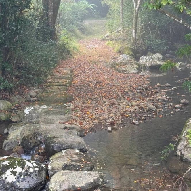 京都・亀岡産きぬひかり「宮川神社米」3kg(1kg×3袋) 米 令和7年産 ※北海道・沖縄・離島への配送不可
