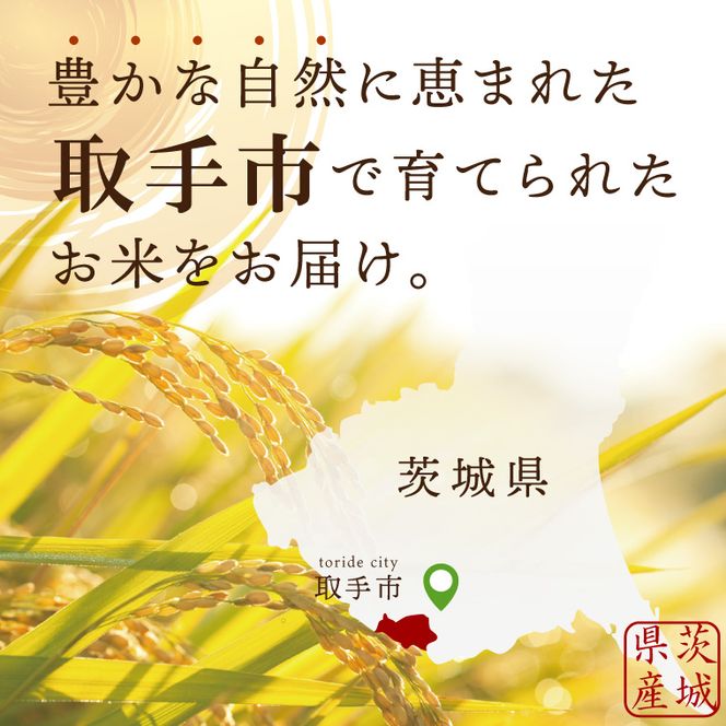 【数量限定】R7年産取手市産コシヒカリ 精米10kg（5kg×2袋）|お米 米 こしひかり コシヒカリ 白米 茨城県 取手市（BS002）