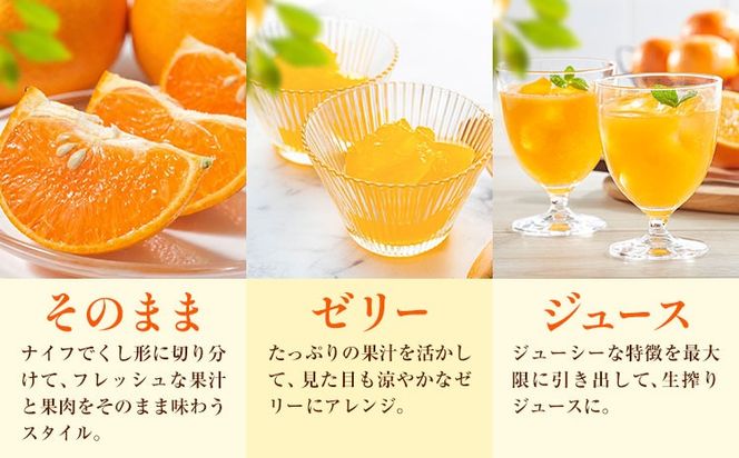 オレンジ 訳あり ご家庭用 セミノールオレンジ 約5kg 株式会社魚鶴商店《5月上旬-5月下旬頃出荷予定》 和歌山県 日高川町 柑橘 フルーツ---wshg_uot232_5j5g_26_12000_5kg---