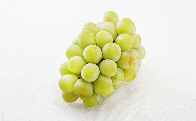 ぶどう 2026年 先行予約 マスカット・オブ・アレキサンドリア 特秀品 1房（1房700g以上）化粧箱入り 葡萄 岡山県産 国産 フルーツ 果物 ギフト 果実 上品 高級