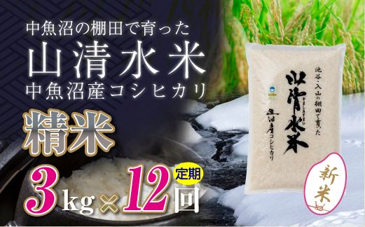 【令和8年産 新米】 【定期便／全12回】精米3kg　新潟県魚沼産コシヒカリ「山清水米」十日町市 米