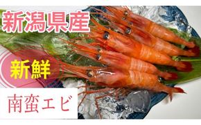 「南蛮エビ（甘エビ）」650g 新鮮！県北寝屋漁港直送！ 1043005 海老 えび 冷凍