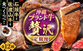 【全12回定期便】沖縄ブランド牛を堪能！贅沢お肉定期便【沖縄市】牛肉 和牛 サーロインステーキ 焼肉 赤身 沖縄市 / 肉のサブロー / お肉屋本店[BCZZ029]