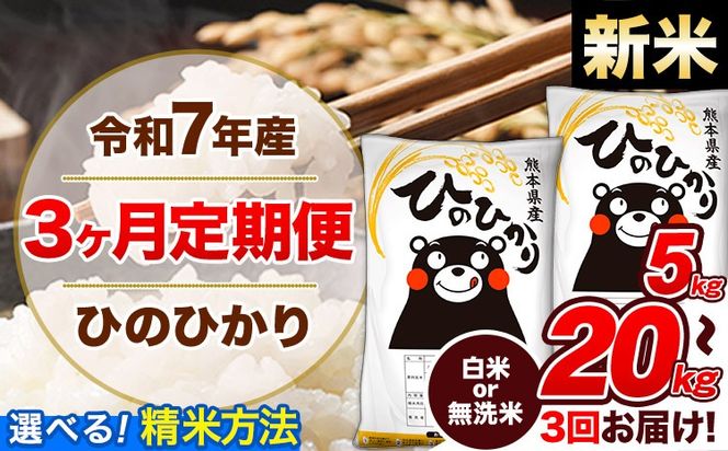 【3ヶ月定期便】令和7年産 定期便 無洗米 も選べる ひのひかり 5kg 10kg 15kg 20kg 《お申込み翌月から出荷》令和7年産 熊本県産 ふるさと納税 無洗米 白米 精米 ひの 米 こめ ふるさとのうぜい ヒノヒカリ コメ 熊本米ひのもり---hn7tei_37500_5kg_mo3_gkt_h---