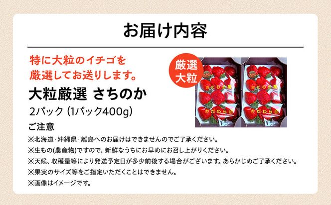 大粒厳選さちのか　希少いちご　神奈川県産　苺　２パック入り 142069_CP009