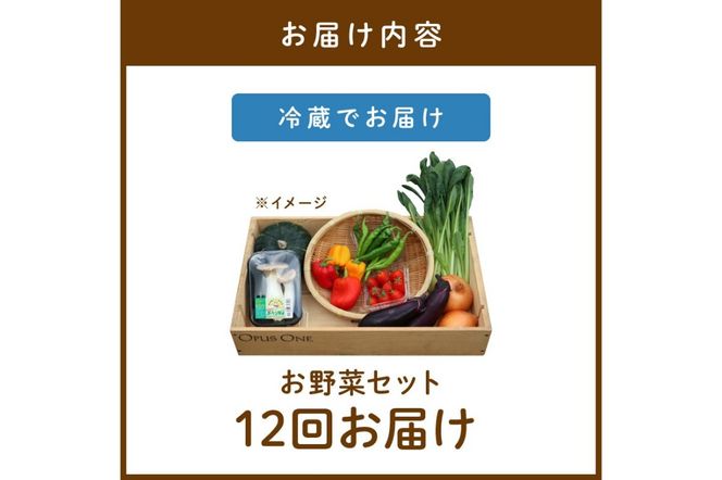 【定期便】合計12回お届け　有機野菜・京野菜の『京都やおよし』のお野菜詰め合わせ　AA00019