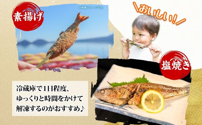 洞爺湖町産 ひめます 6尾 約140g～160g /1尾 ちょっと大きめサイズ 北海道 姫鱒 ヒメマス 魚 さかな 北海道産 海鮮 釣り漁獲 チップ 塩焼き 素揚げ 丸ごと レア 高級魚 淡水魚 洞爺湖町