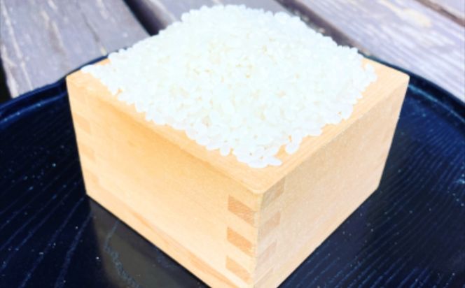 159-2023-10　 【R8年新米10kg】湘南生まれのお米「はるみ」〈出荷時期:2026年9月12日出荷開始～2026年12月26日出荷終了〉【 神奈川県 大磯町 米 お米 白米 白飯 コシヒカリ キヌヒカリ 交配種 甘み 期間限定 】