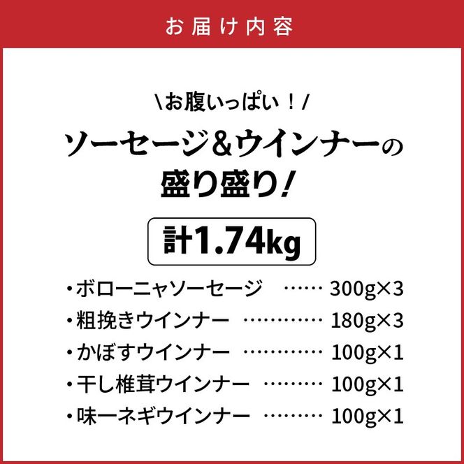 ＼本場ドイツ伝統製法／お腹いっぱいソーセージ＆ウインナー 5種 1.74kg_29199A-3